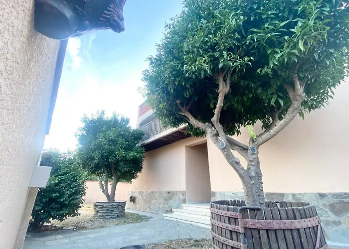 L'artmonie - Climatise - Jardin - Centre-ville - * Περπινιάν